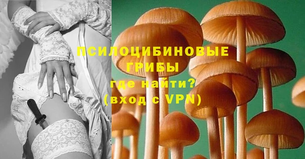 Альфа ПВП Арсеньев