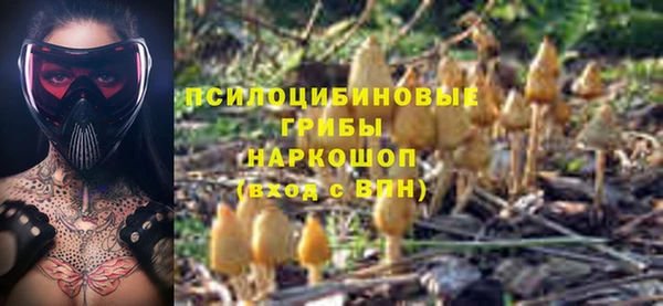 мескалин Аркадак