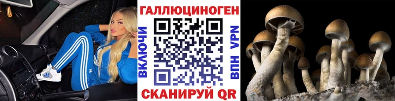 Псилоцибиновые грибы GOLDEN TEACHER  shop состав  Магас  купить закладку 